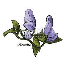 Aconite RF