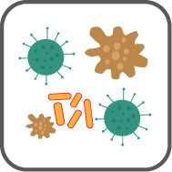 Actinomyces israelii RF