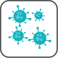 Adenovirus 36 RF