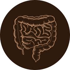 Amyloidosis