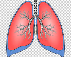 Cancer lung RF
