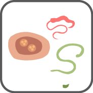 Cephalothecium RF