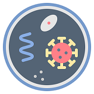 Chlamydia pneumoniae RF