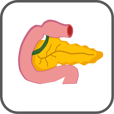 Cancer-pancreatic, exocrine & islet ce