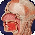 Cancer-paranasal sinus and nasal cavity