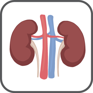 Cancer-renal cell (kidney)