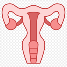 Endometrosiosis RF