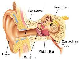 eustachian tube inflammation RF