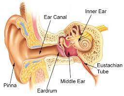 eustachian tube inflammation RF