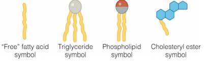 Fatty acid oxidation disorder