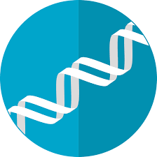 Fragile X syndrome