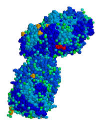 Gaucher Disease