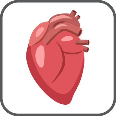 heart Catheteruzation