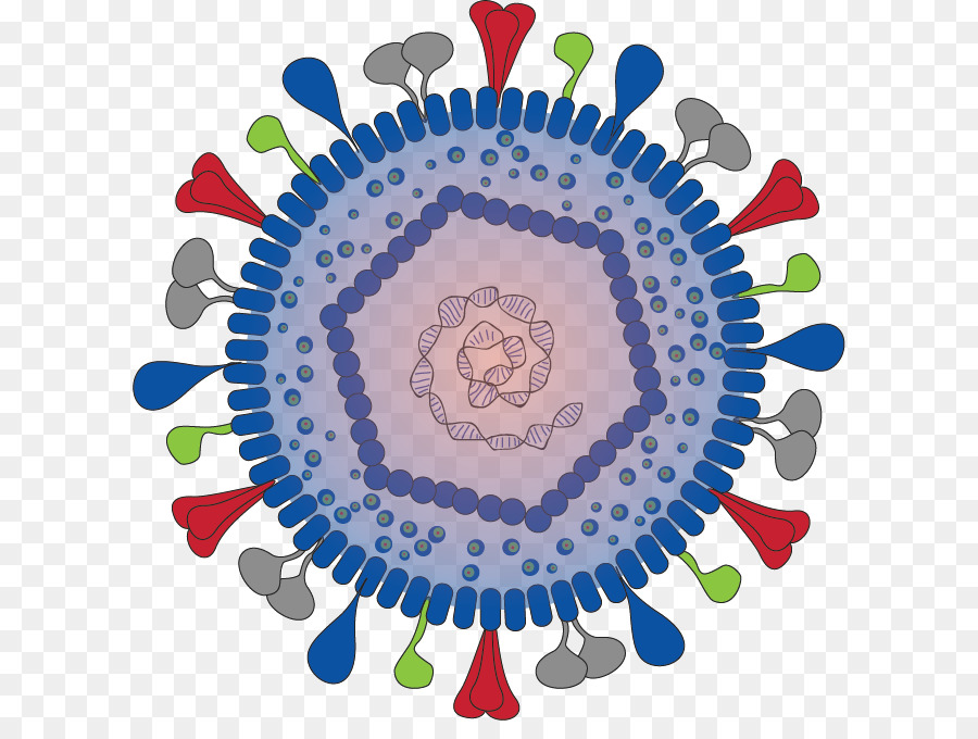 Herpesviridae infections