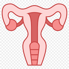 Hypogonadism