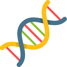 Kallmann Syndrome