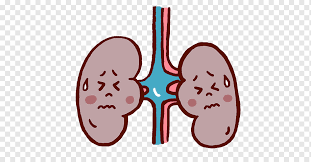 Kidney tubular necrosis