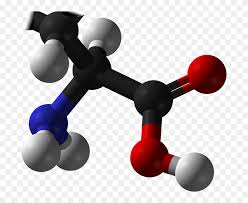 Maple syrup urine disease