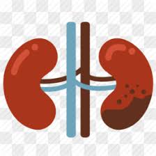 Medullary sponge kidney