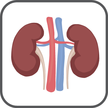 Multicystic dysplastic kidney