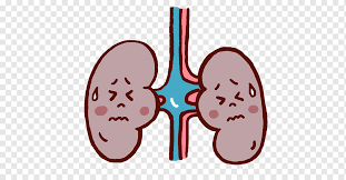 Nephrosis