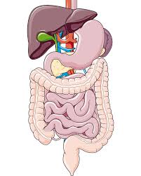 Neuroendocrine tumors