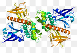 Neurofibromatoses