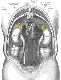 Pheochromocytoma