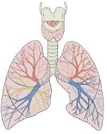 Pulmonary atresia
