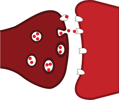 Serotonin syndrome