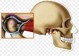 Temporomandibular joint dysfuntion synd