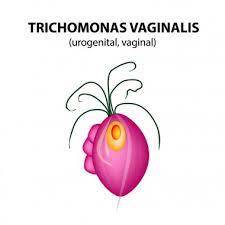 Trichomonas infections